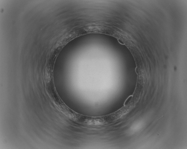 X0000067400751200604131956