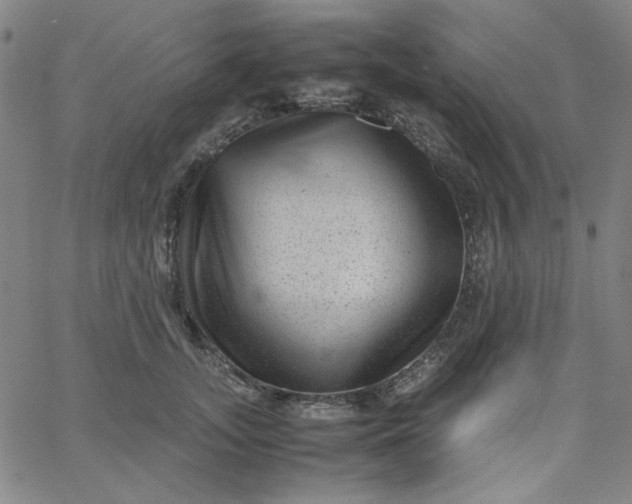 X0000067400755200604131956