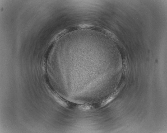 X0000067400762200604131956