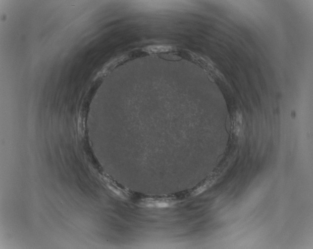 X0000067400763200604131956
