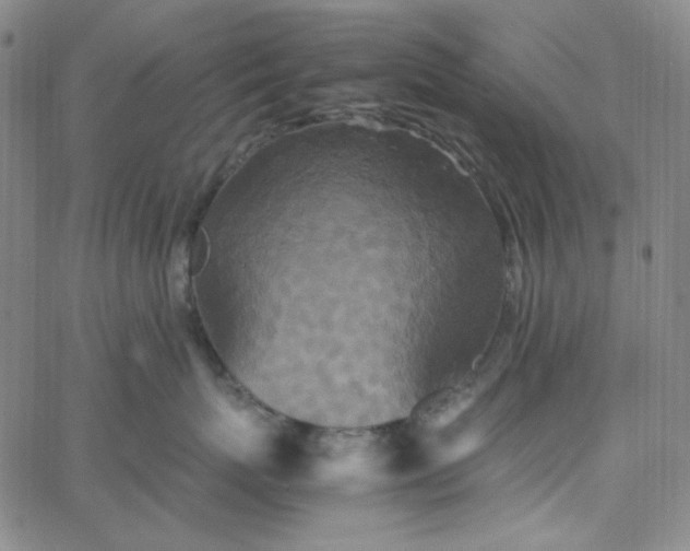 X0000067400767200604131956