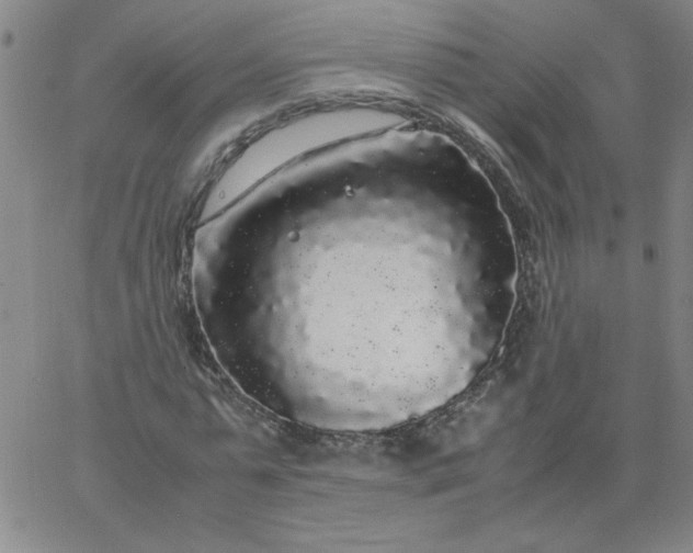 X0000067400775200604131956
