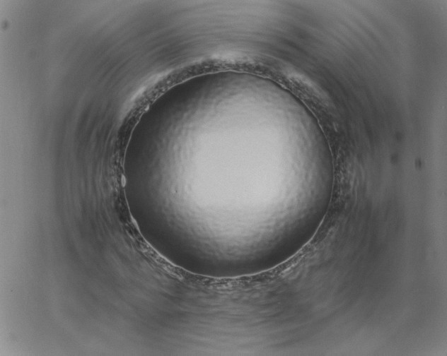 X0000067400776200604131956