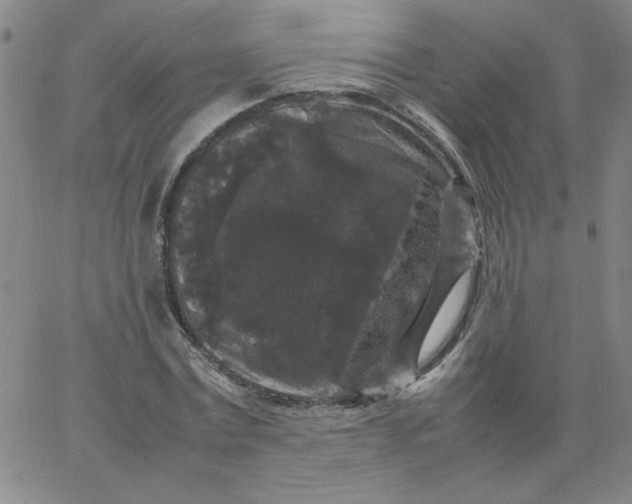 X0000067400779200604131956