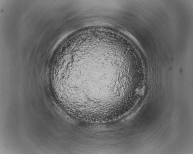 X0000067400783200604131955