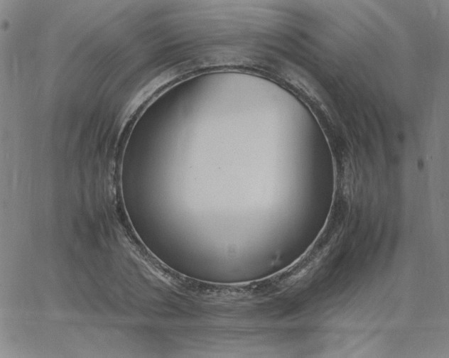 X0000067400786200604131955