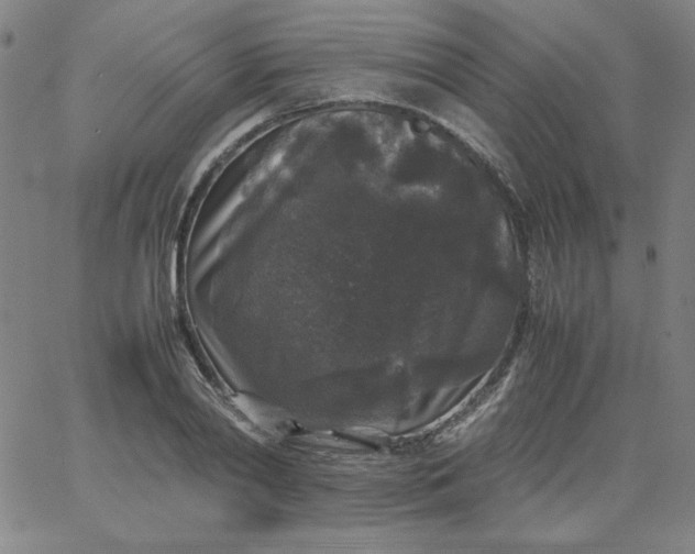 X0000067400790200604131955