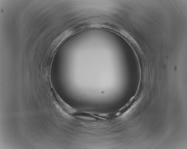X0000067400801200604131955