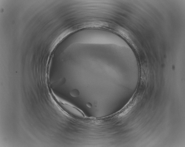 X0000067400802200604131955