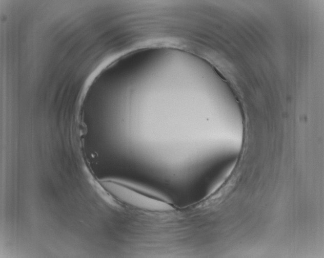X0000067400816200604131955