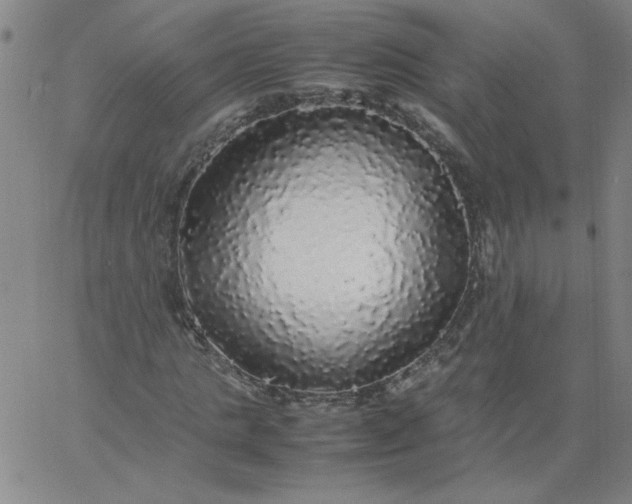 X0000067400821200604131954