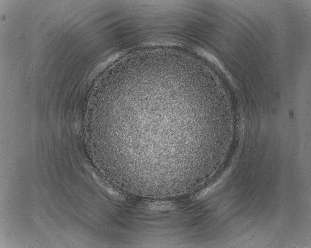 X0000067400833200604131954