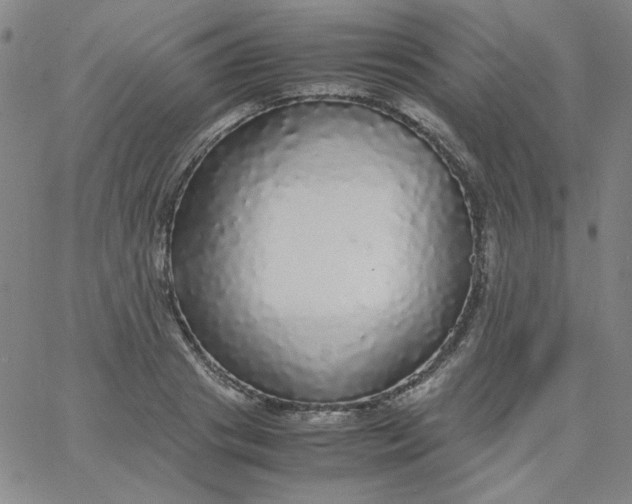 X0000067400841200604131955