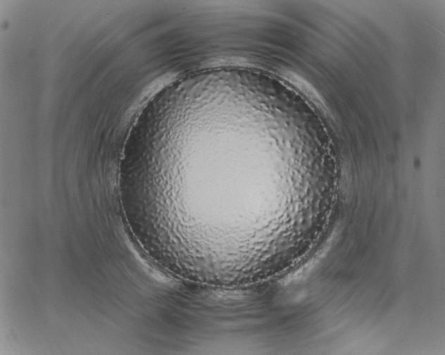 X0000067400849200604131955