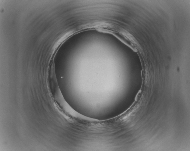 X0000067400850200604131955