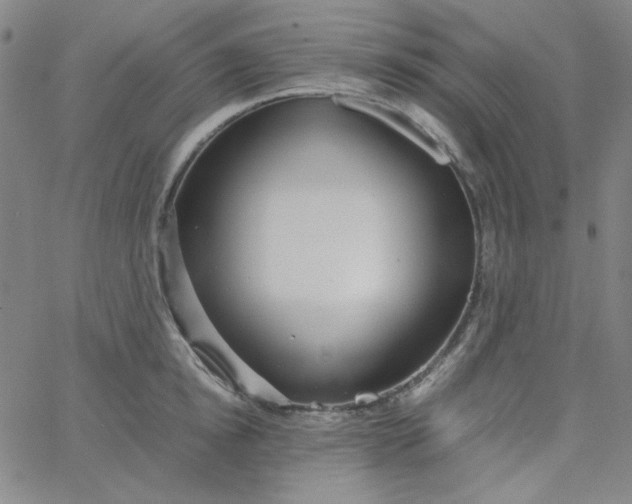 X0000067400854200604131955