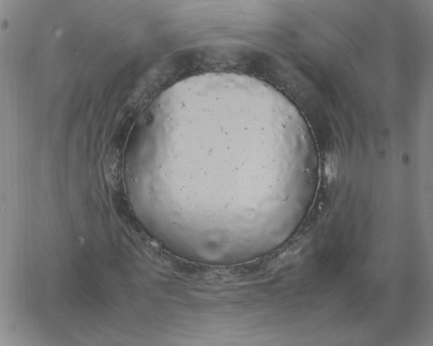X0000067400867200604131954