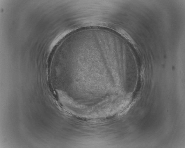 X0000067400877200604131954