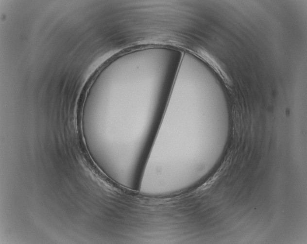 X0000067400884200604131954