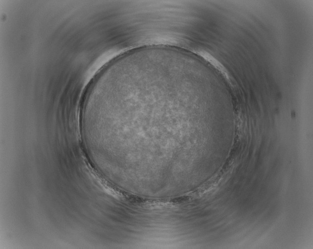 X0000067400886200604131954