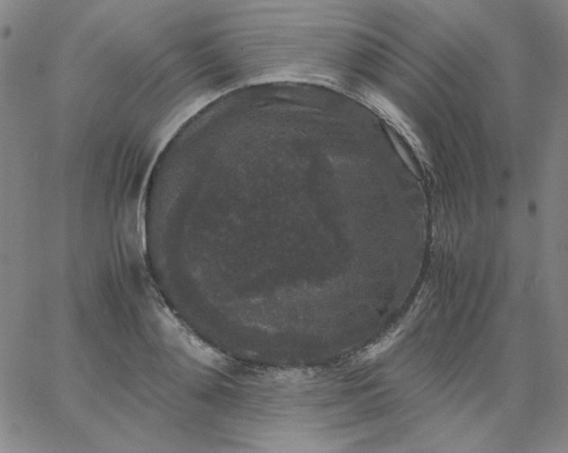 X0000067400892200604131954