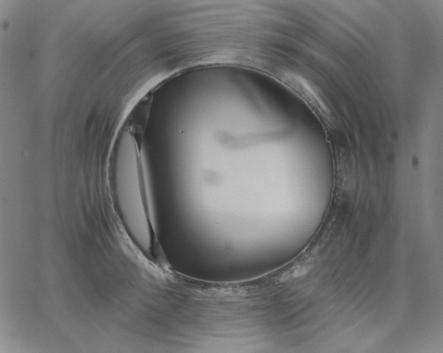 X0000067400900200604131954