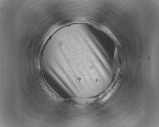 X0000067400908200604131953