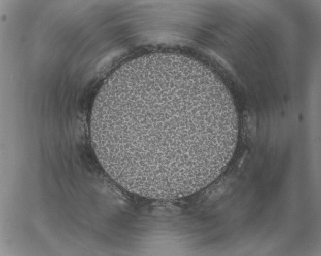 X0000067400918200604131953