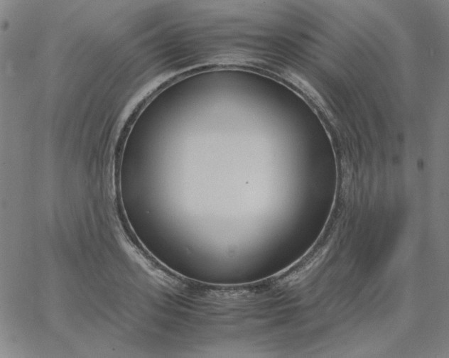X0000067400939200604131953
