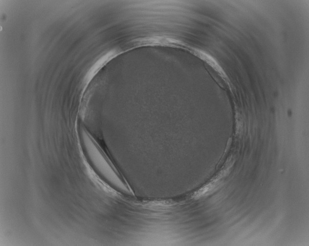X0000067400946200604131953