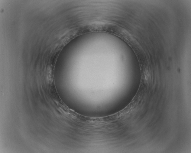 X0000067400964200604131953