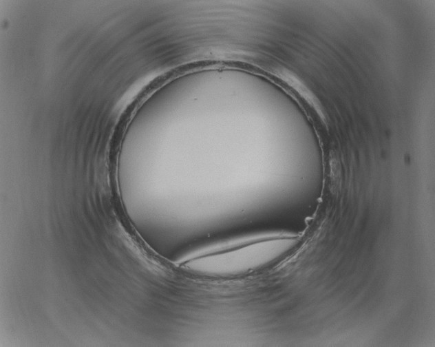 X0000067400972200604131952