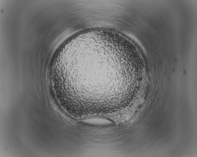X0000067400983200604131952