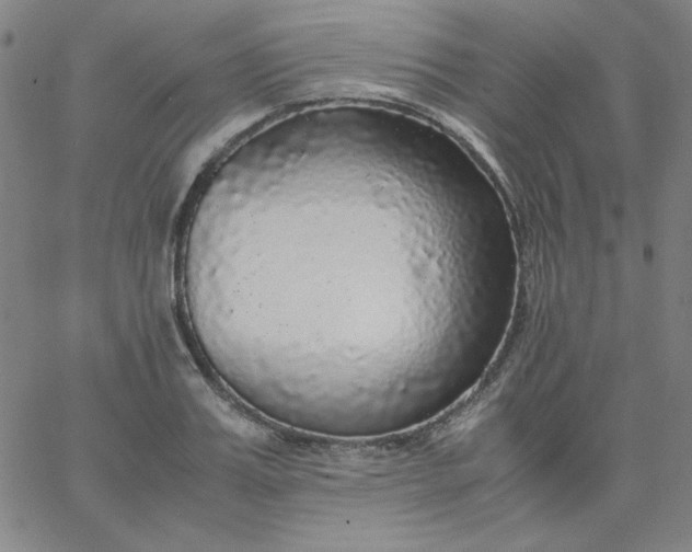 X0000067400987200604131952