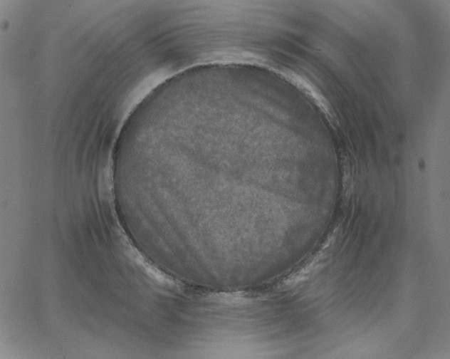 X0000067400990200604131952