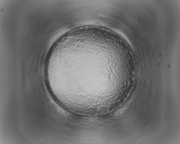 X0000067400991200604131952