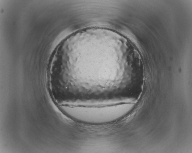 X0000067400999200604131952