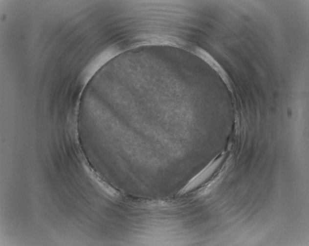 X0000067401002200604131952
