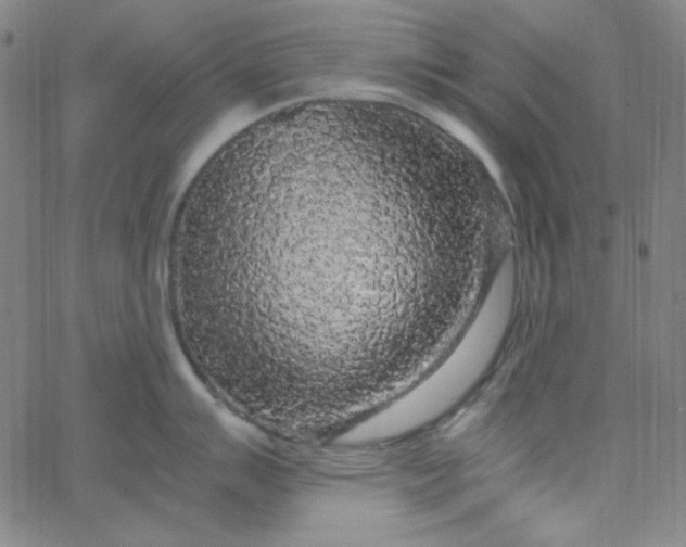 X0000067401007200604131952