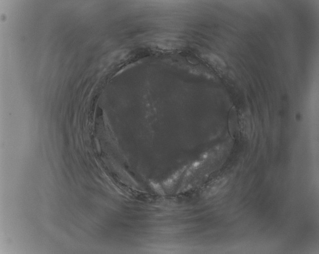 X0000067401009200604131951