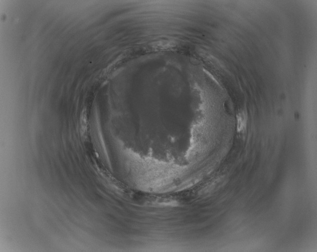 X0000067401011200604131951