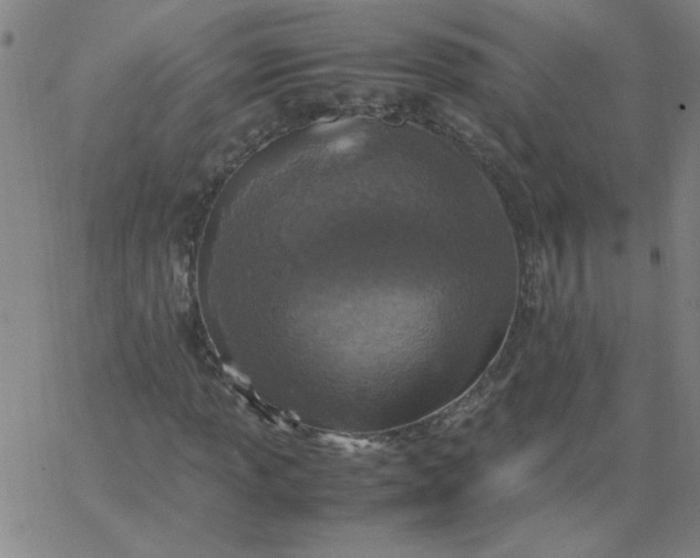 X0000067401013200604131951