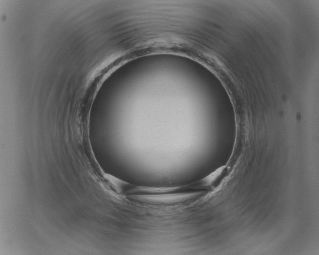 X0000067401018200604131951