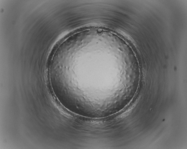 X0000067401029200604131951