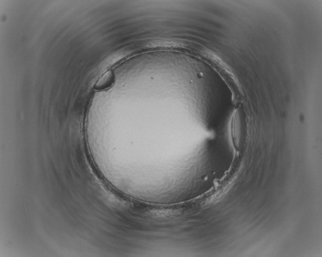 X0000067401033200604131951