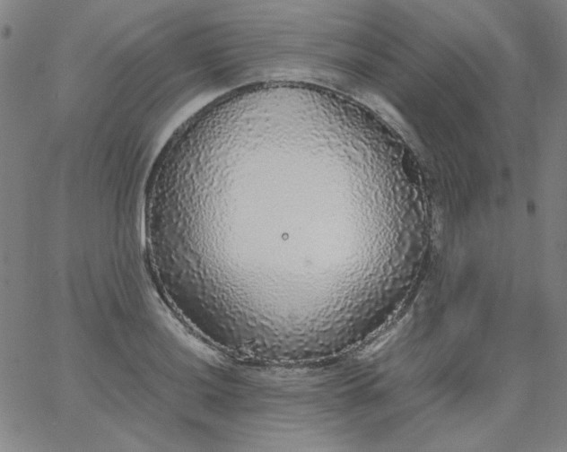 X0000067401036200604131951