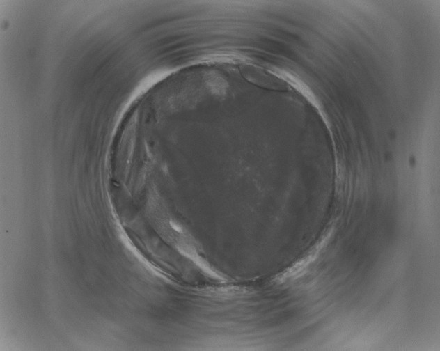 X0000067401045200604131952
