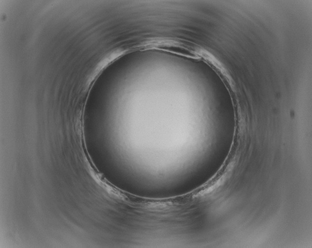 X0000067401049200604131952