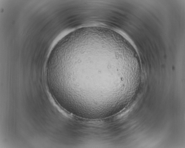 X0000067401053200604131952