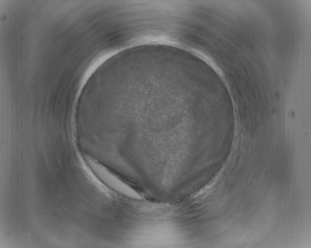 X0000067401056200604131952
